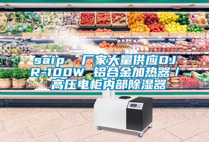 saip  廠家大量供應DJR-100W 鋁合金加熱器／ 高壓電柜內(nèi)部除濕器