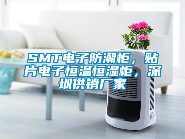 SMT電子防潮柜，貼片電子恒溫恒濕柜，深圳供銷廠家