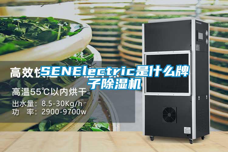 SENElectric是什么牌子除濕機