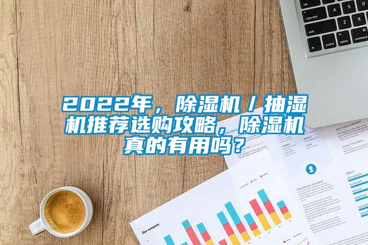 2022年，除濕機／抽濕機推薦選購攻略，除濕機真的有用嗎？