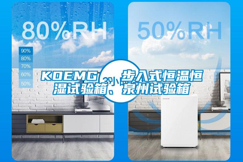 KOEMG 、步入式恒溫恒濕試驗(yàn)箱、泉州試驗(yàn)箱