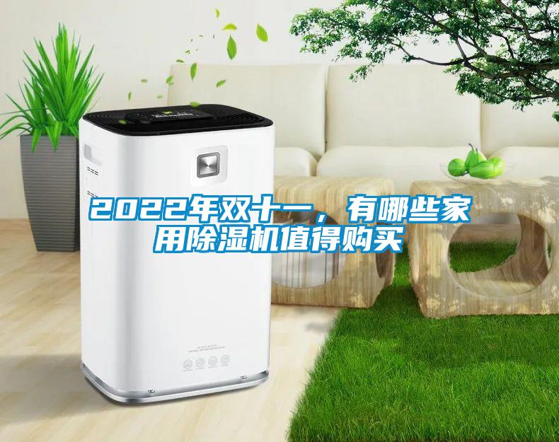 2022年雙十一，有哪些家用除濕機值得購買