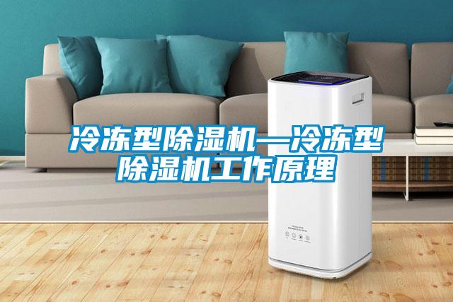 冷凍型除濕機—冷凍型除濕機工作原理