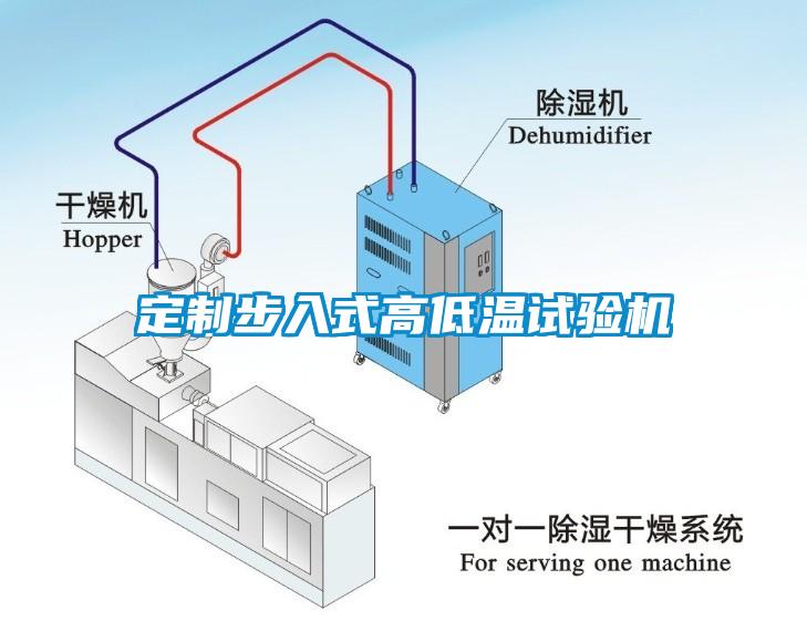 定制步入式高低溫試驗機