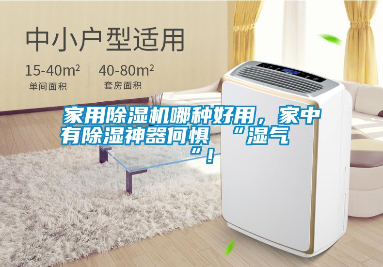 家用除濕機(jī)哪種好用，家中有除濕神器何懼 “濕氣 “！