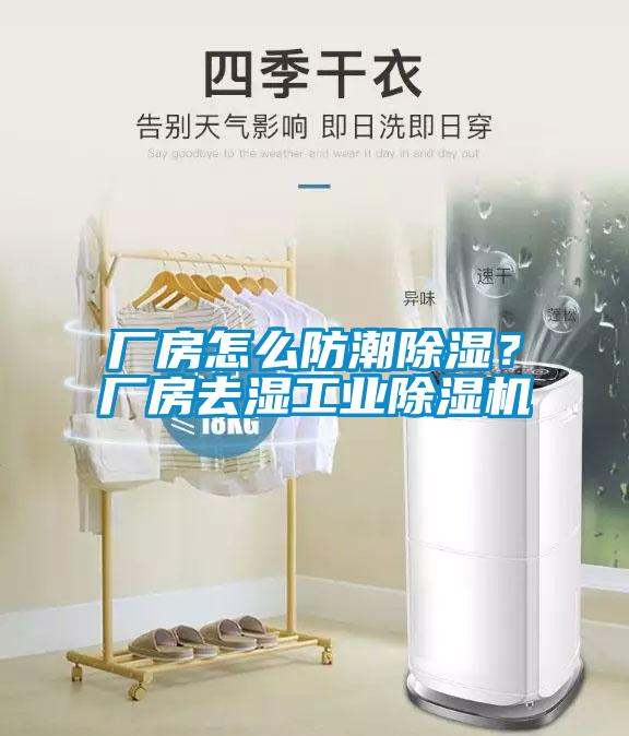 廠房怎么防潮除濕？廠房去濕工業(yè)除濕機