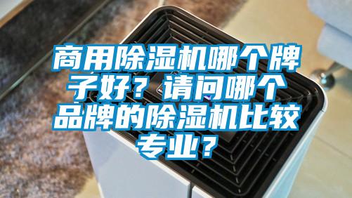 商用除濕機哪個牌子好？請問哪個品牌的除濕機比較專業(yè)？