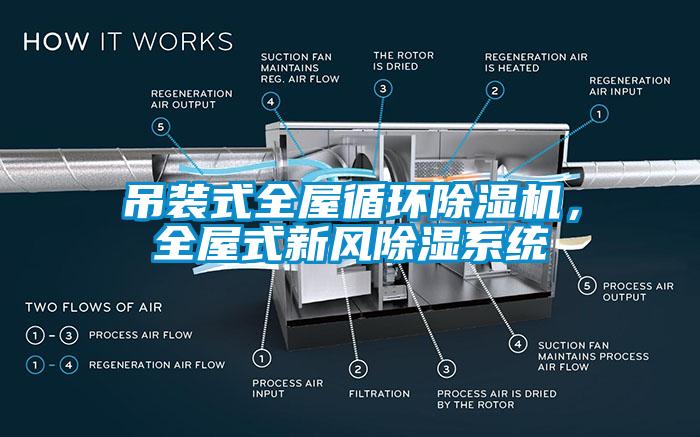 吊裝式全屋循環(huán)除濕機，全屋式新風除濕系統(tǒng)