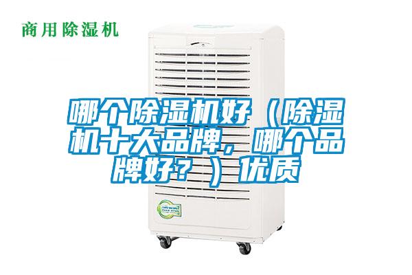 哪個除濕機好（除濕機十大品牌，哪個品牌好？）優(yōu)質