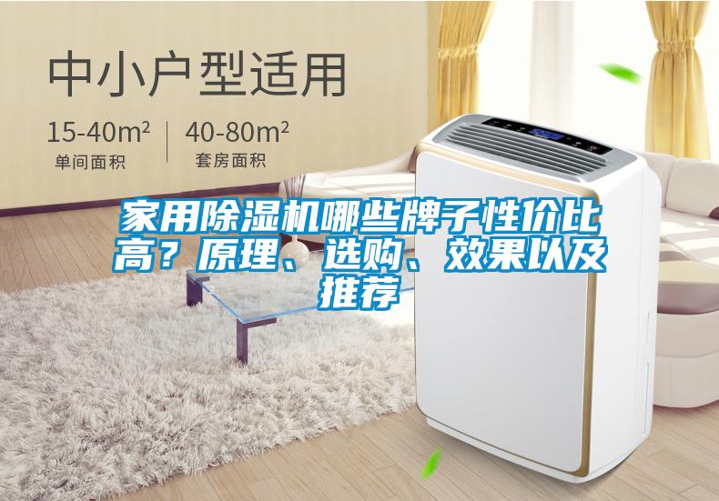 家用除濕機哪些牌子性價比高？原理、選購、效果以及推薦