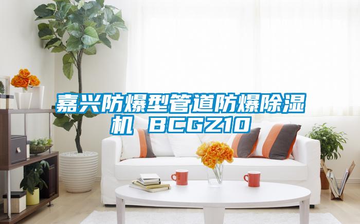 嘉興防爆型管道防爆除濕機 BCGZ10