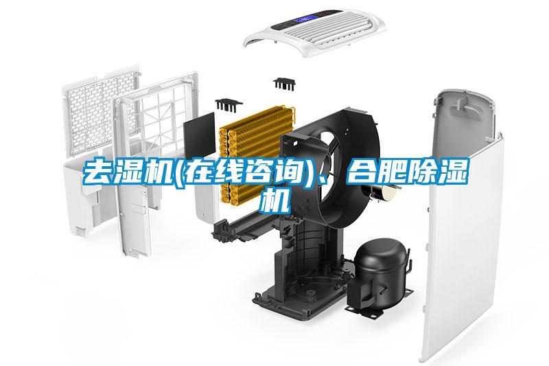 去濕機(jī)(在線咨詢)、合肥除濕機(jī)