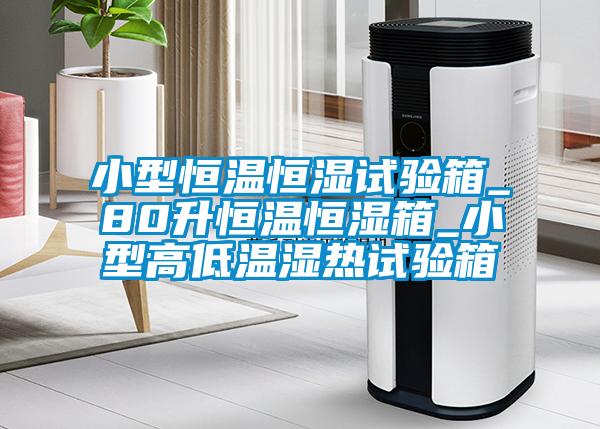 小型恒溫恒濕試驗(yàn)箱_80升恒溫恒濕箱_小型高低溫濕熱試驗(yàn)箱