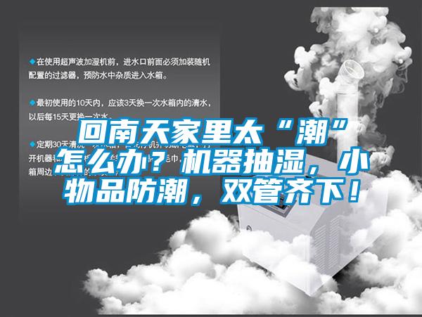 回南天家里太“潮”怎么辦？機器抽濕，小物品防潮，雙管齊下！