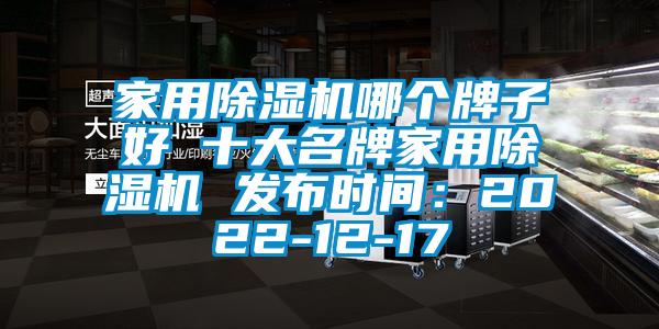 家用除濕機(jī)哪個(gè)牌子好 十大名牌家用除濕機(jī) 發(fā)布時(shí)間：2022-12-17