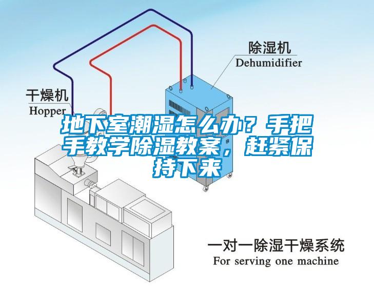 地下室潮濕怎么辦？手把手教學(xué)除濕教案，趕緊保持下來(lái)