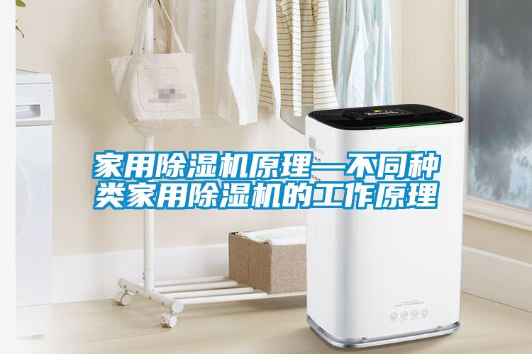 家用除濕機原理—不同種類家用除濕機的工作原理