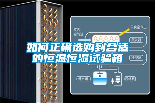 如何正確選購(gòu)到合適的恒溫恒濕試驗(yàn)箱