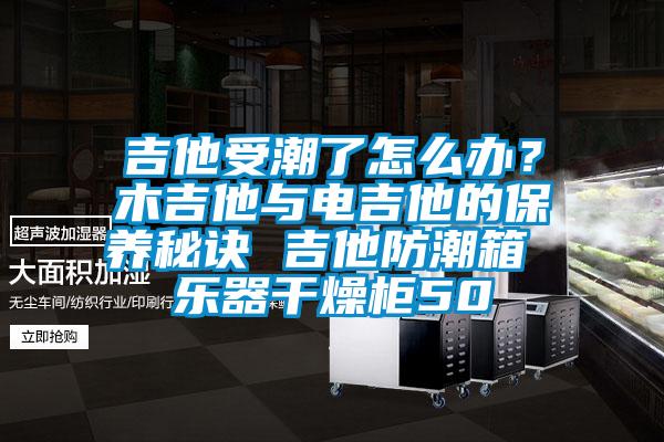 吉他受潮了怎么辦？木吉他與電吉他的保養(yǎng)秘訣 吉他防潮箱 樂器干燥柜50