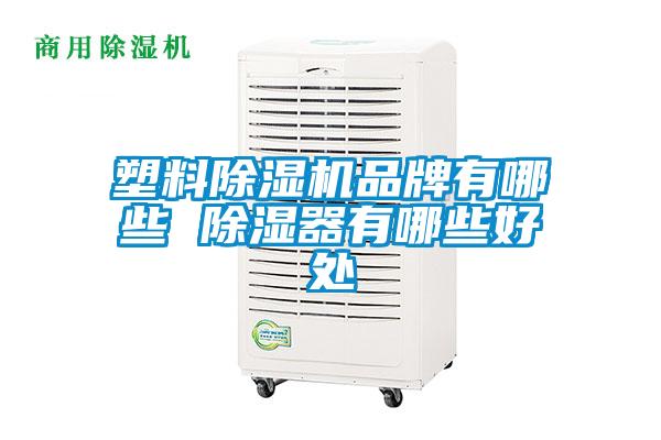 塑料除濕機(jī)品牌有哪些 除濕器有哪些好處