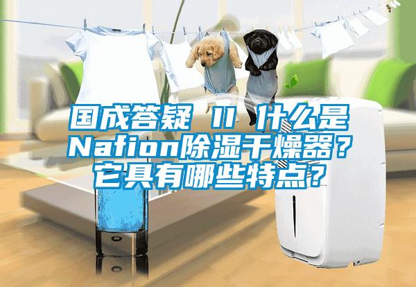 國(guó)成答疑 II 什么是Nafion除濕干燥器？它具有哪些特點(diǎn)？