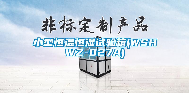 小型恒溫恒濕試驗(yàn)箱(WSHWZ-027A)