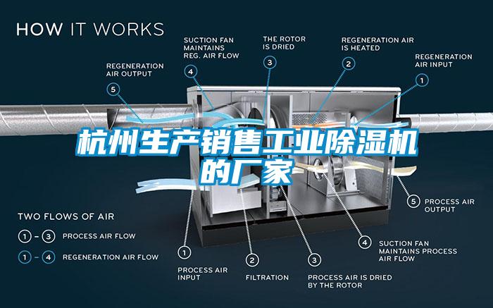 杭州生產(chǎn)銷售工業(yè)除濕機(jī)的廠家