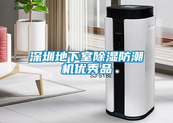 深圳地下室除濕防潮機優(yōu)秀品