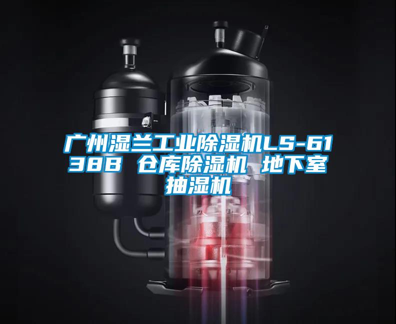 廣州濕蘭工業(yè)除濕機(jī)LS-6138B 倉庫除濕機(jī) 地下室抽濕機(jī)