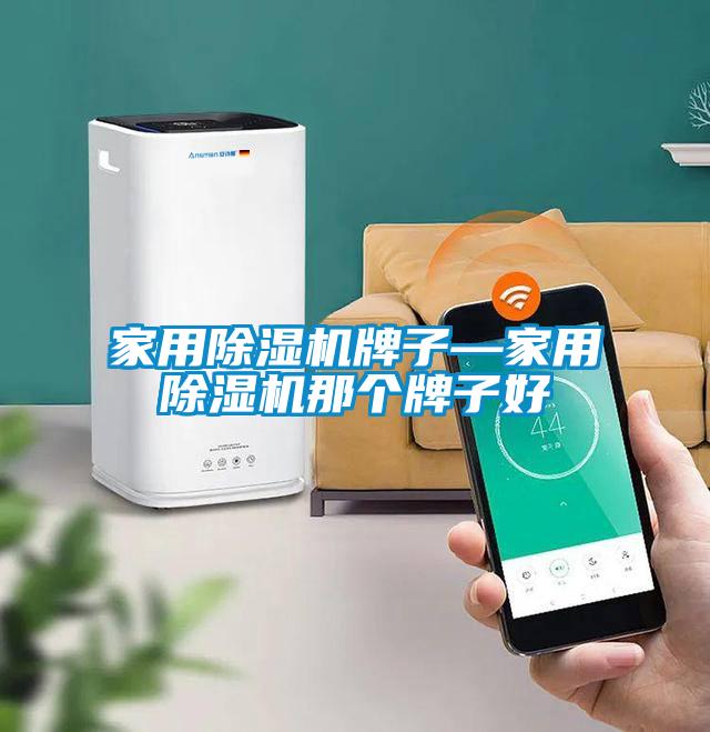 家用除濕機牌子—家用除濕機那個牌子好