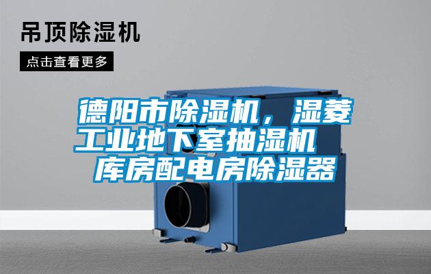 德陽市除濕機，濕菱工業(yè)地下室抽濕機  庫房配電房除濕器