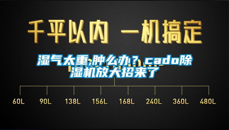 濕氣太重,腫么辦？cado除濕機(jī)放大招來了