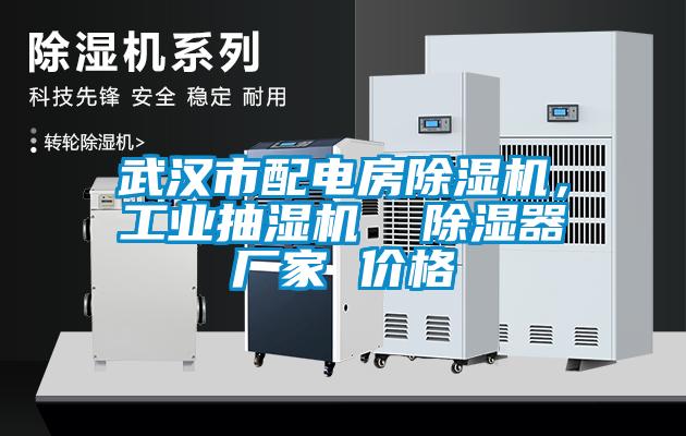 武漢市配電房除濕機(jī)，工業(yè)抽濕機(jī)  除濕器廠家 價格