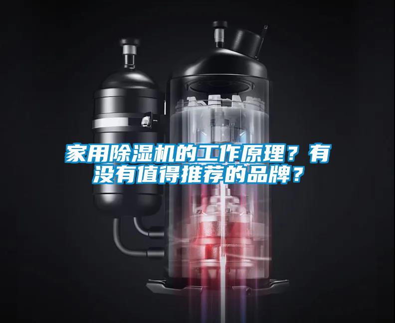 家用除濕機的工作原理？有沒有值得推薦的品牌？