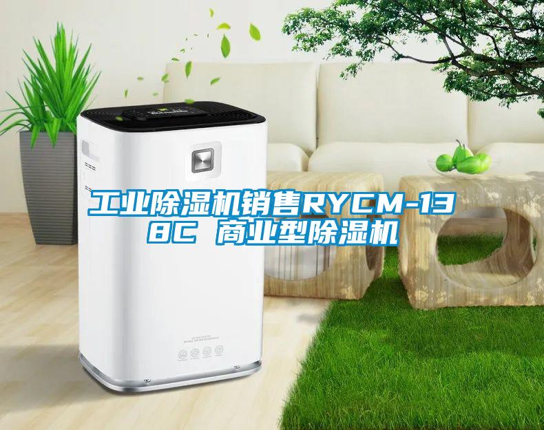 工業(yè)除濕機銷售RYCM-138C 商業(yè)型除濕機