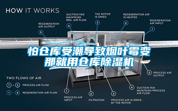 怕倉庫受潮導(dǎo)致煙葉霉變那就用倉庫除濕機