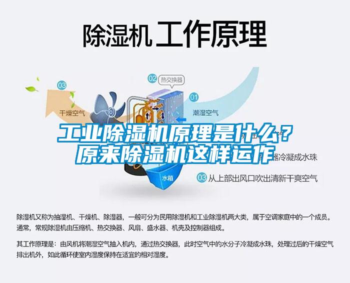 工業(yè)除濕機原理是什么？原來除濕機這樣運作