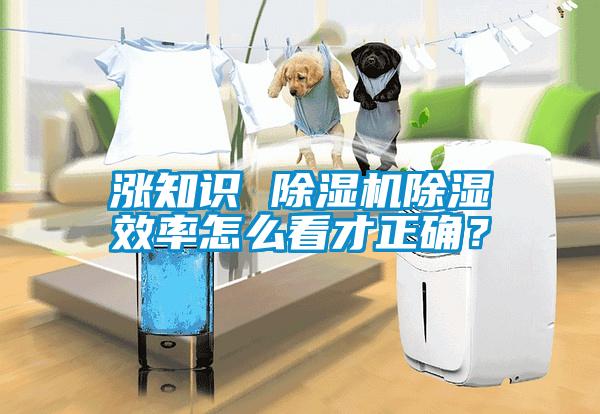 漲知識 除濕機(jī)除濕效率怎么看才正確？