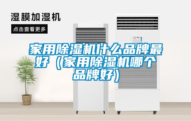 家用除濕機什么品牌最好（家用除濕機哪個品牌好）