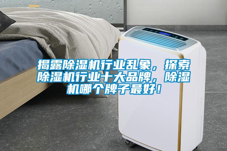 揭露除濕機行業(yè)亂象，探索除濕機行業(yè)十大品牌，除濕機哪個牌子最好！