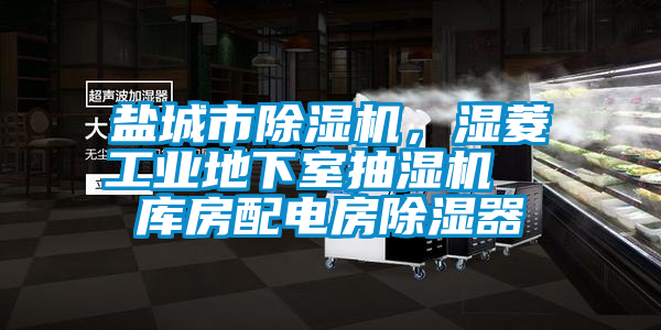 鹽城市除濕機，濕菱工業(yè)地下室抽濕機  庫房配電房除濕器