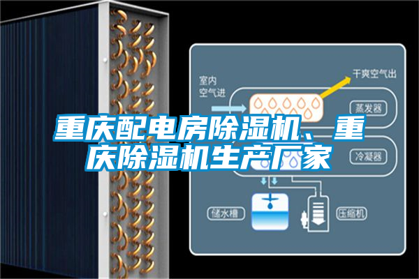 重慶配電房除濕機、重慶除濕機生產(chǎn)廠家