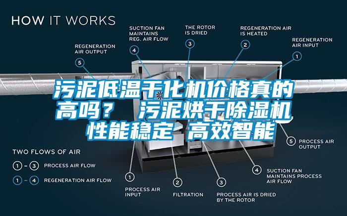 污泥低溫干化機價格真的高嗎？ 污泥烘干除濕機 性能穩(wěn)定 高效智能