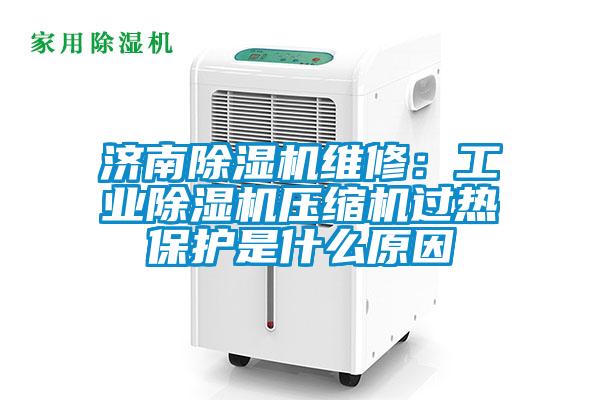 濟南除濕機維修：工業(yè)除濕機壓縮機過熱保護是什么原因