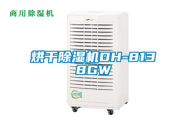 烘干除濕機DH-8138GW