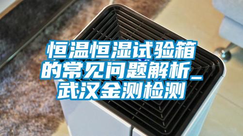 恒溫恒濕試驗箱的常見問題解析_武漢金測檢測