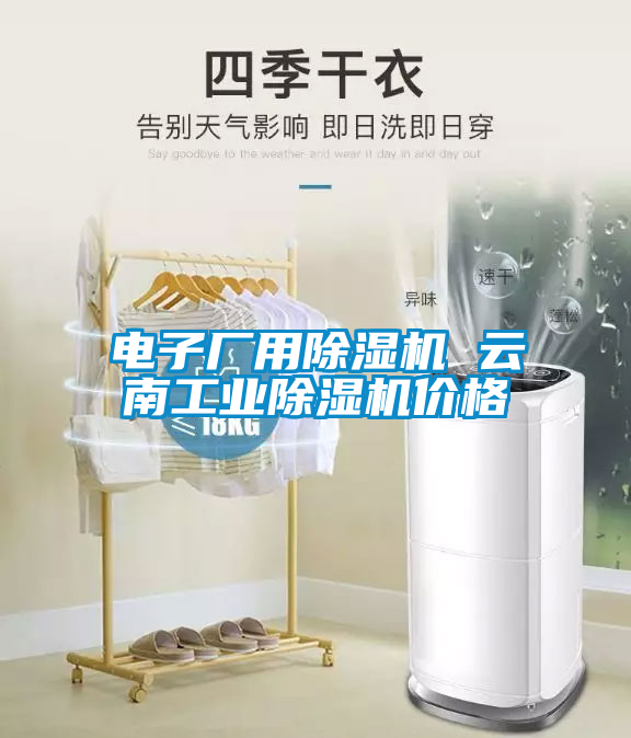 電子廠用除濕機(jī) 云南工業(yè)除濕機(jī)價(jià)格