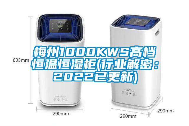 梅州1000KWS高檔恒溫恒濕柜(行業(yè)解密：2022已更新)