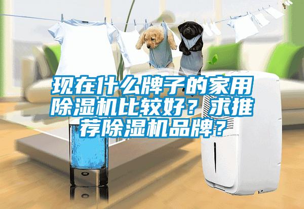 現在什么牌子的家用除濕機比較好？求推薦除濕機品牌？