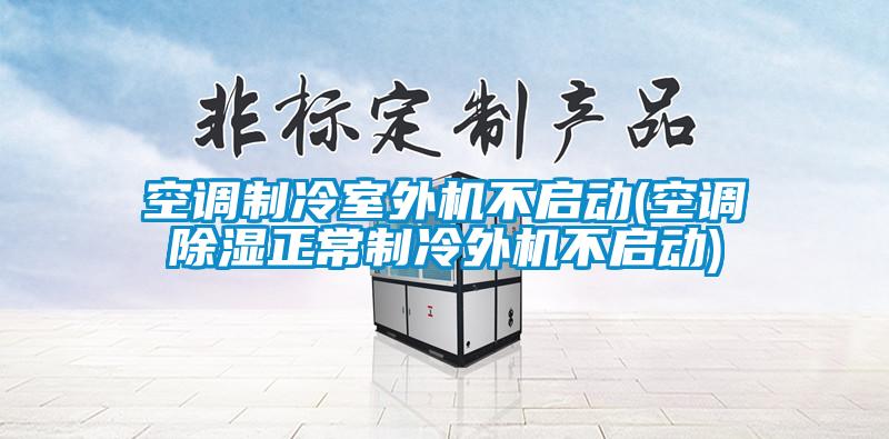 空調(diào)制冷室外機(jī)不啟動(空調(diào)除濕正常制冷外機(jī)不啟動)